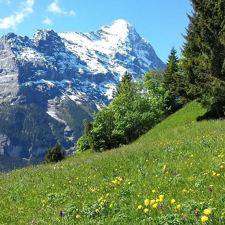Hotel Tschuggen Grindelwald