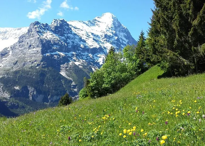 Hotel Tschuggen Grindelwald