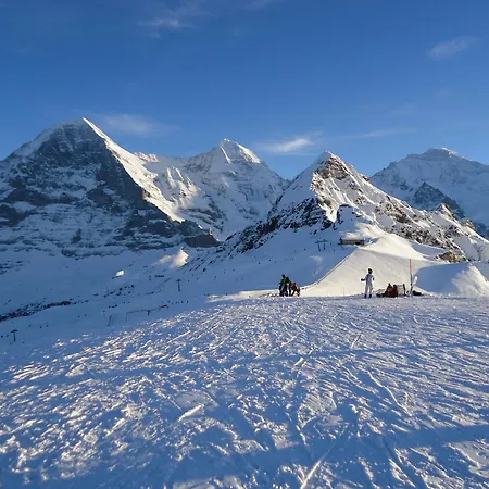 فندق تشوغين 2*