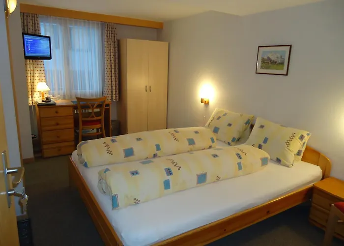 فندق تشوغين 2*