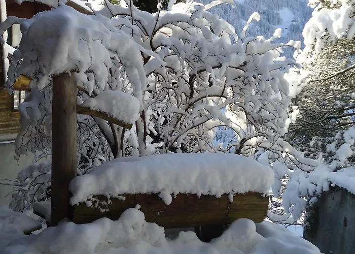 فندق تشوغين 2*