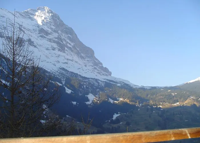 تشوغين فندق 2*